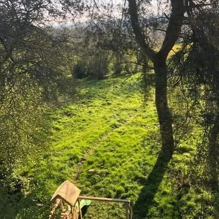 Maison d'hôtes Manoir Du Tertre Au Coeur De La Forêt De Brocéliande Paimpont