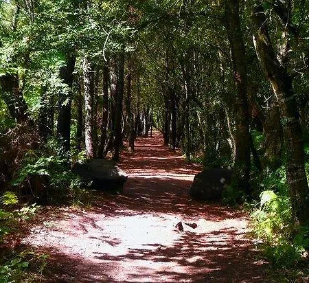 Manoir Du Tertre Au Coeur De La Forêt De Brocéliande * Paimpont