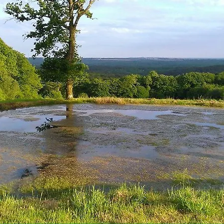 Manoir Du Tertre Au Coeur De La Forêt De Brocéliande